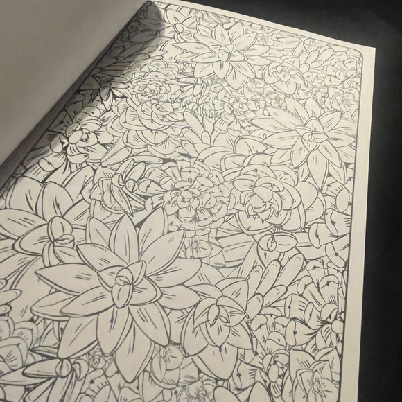 Contemporary Coloring Succulents ( coloring book )New - Picture 5 of 8